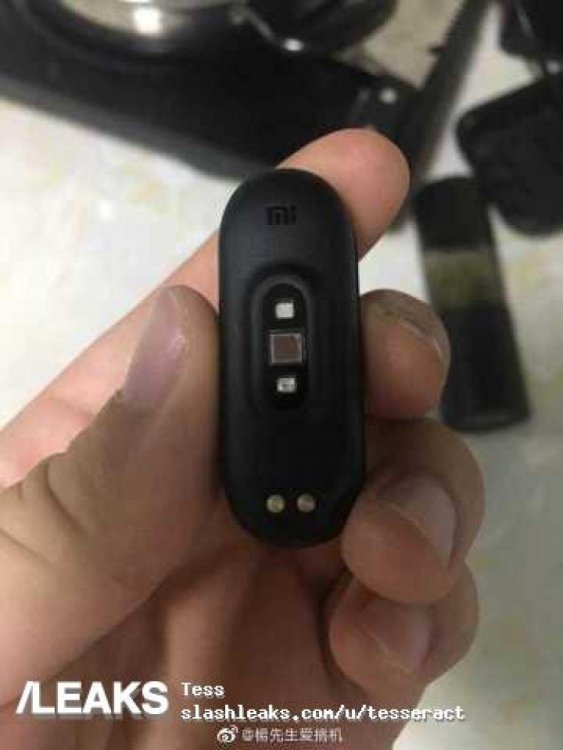 band2.jpg
