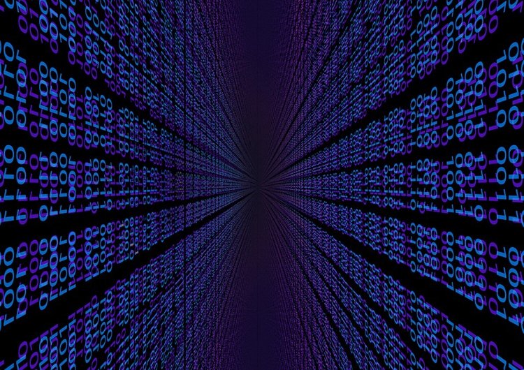 data1.jpg