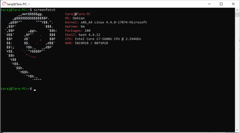 debian-wsl2-_.png