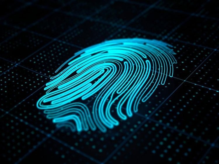 finger_digit.jpg