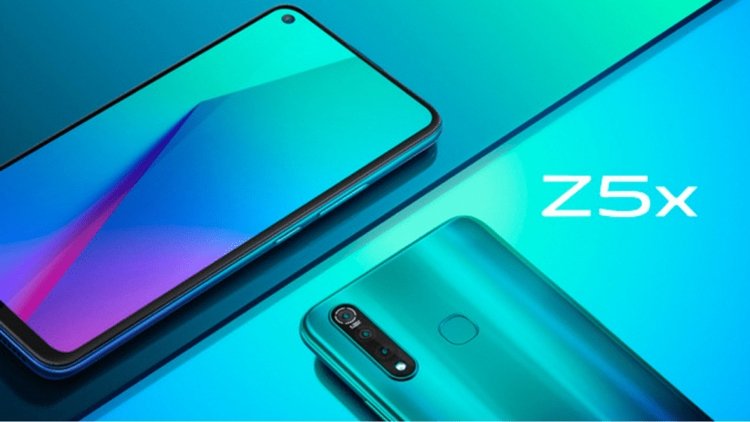 vivo1.jpg
