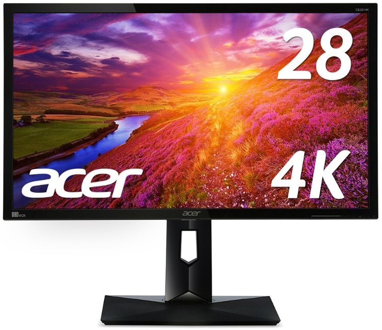 acer2.jpg