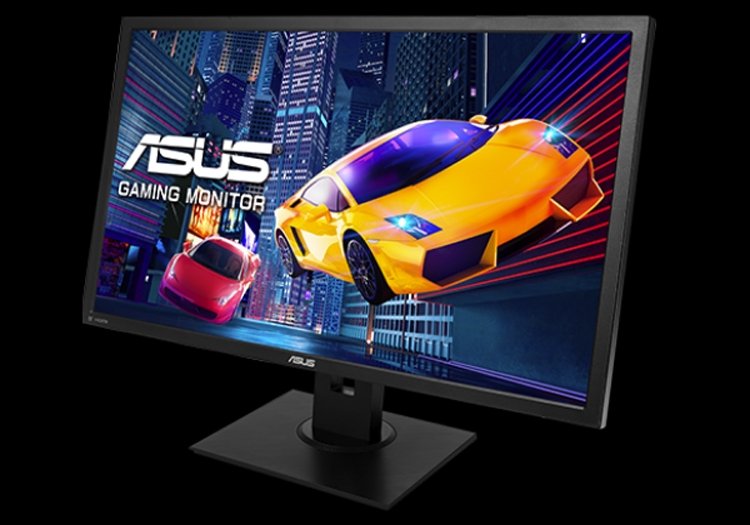 asus2.jpg