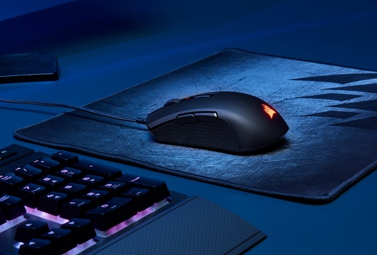 mouse1.jpg