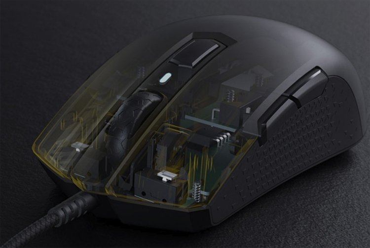 mouse3.jpg