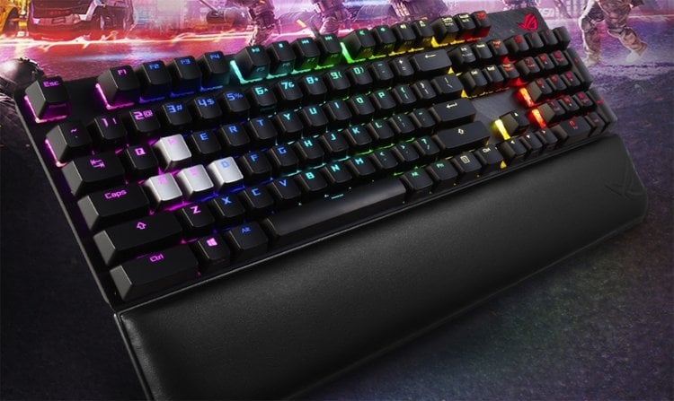 rog1.jpg