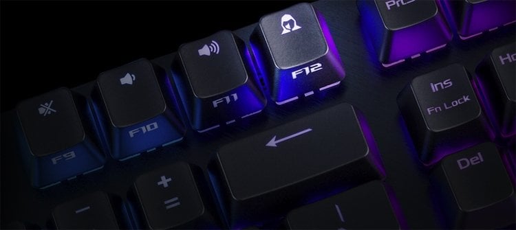 rog2.jpg