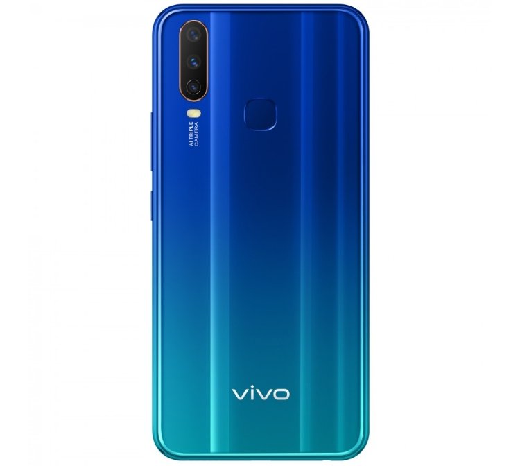 vivo2.jpg