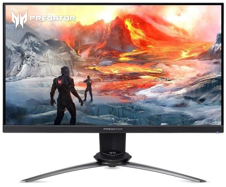 acer1.jpg
