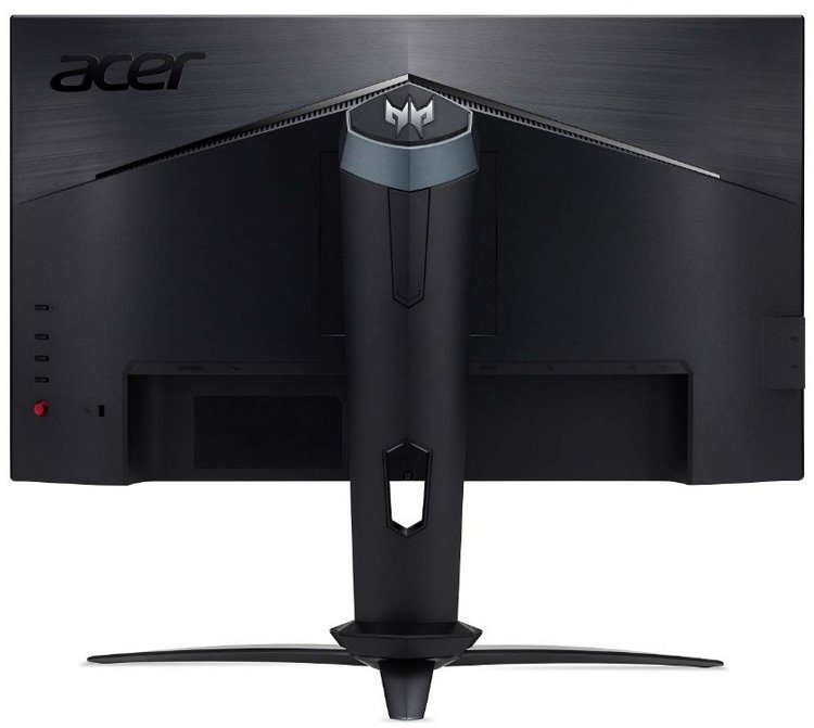 acer2.jpg