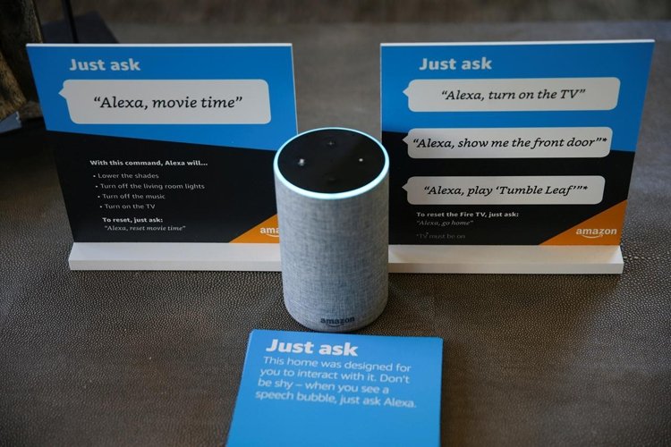 amazon1.jpg