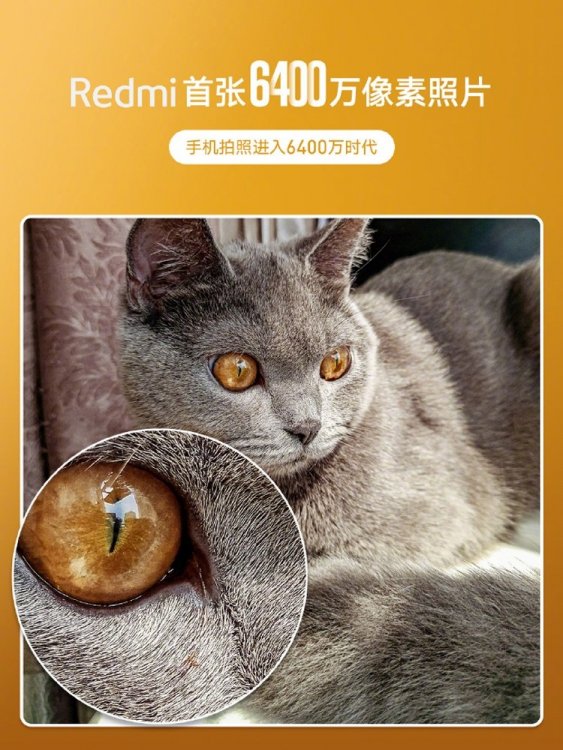 redmi2.jpg