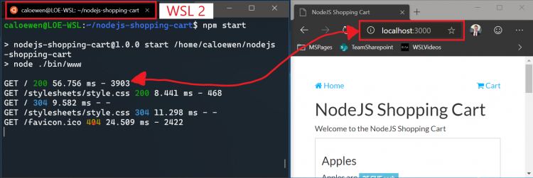 sm.WSL2Localhost2.750.png