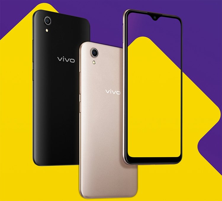 vivo1.jpg