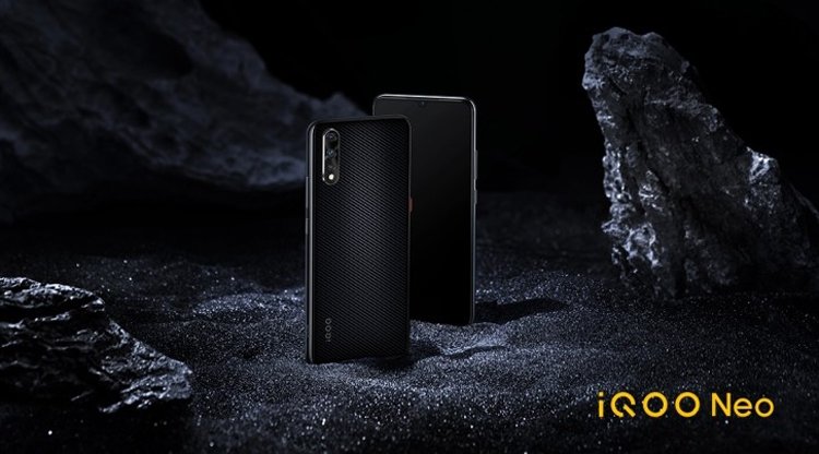 vivo1.jpg