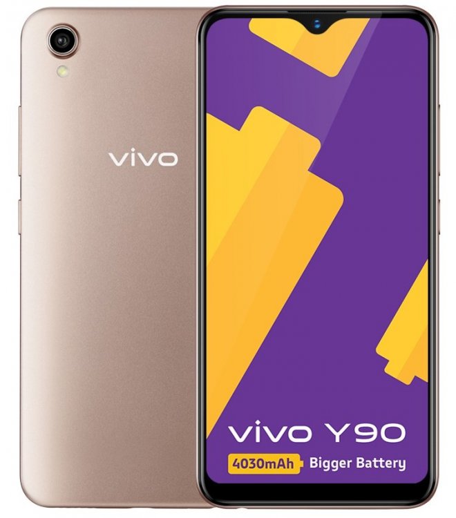 vivo2.jpg