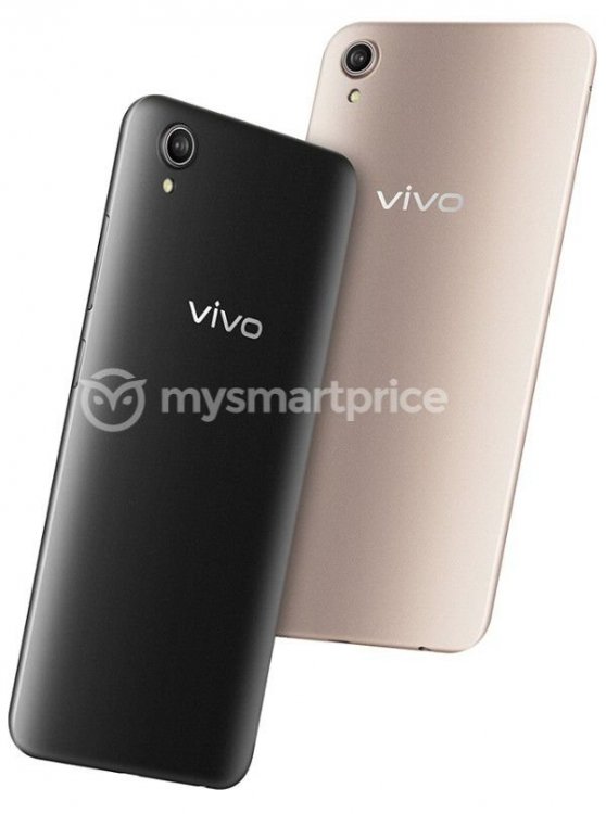 vivo2.jpg