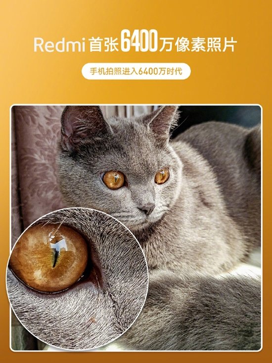 redmi1.jpg