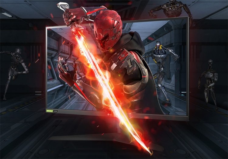 lg2.jpg