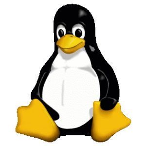 linuxkernel.jpg