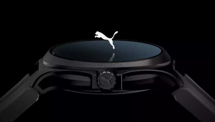puma1.jpg
