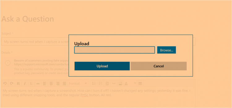sm.windows-10-screenshot-bug.750.png