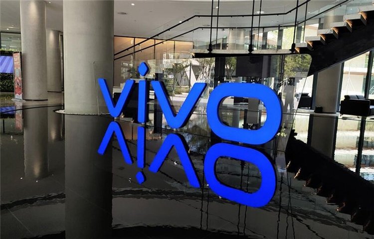 vi2.jpg