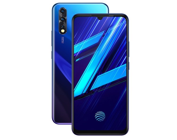 vivo1.jpg