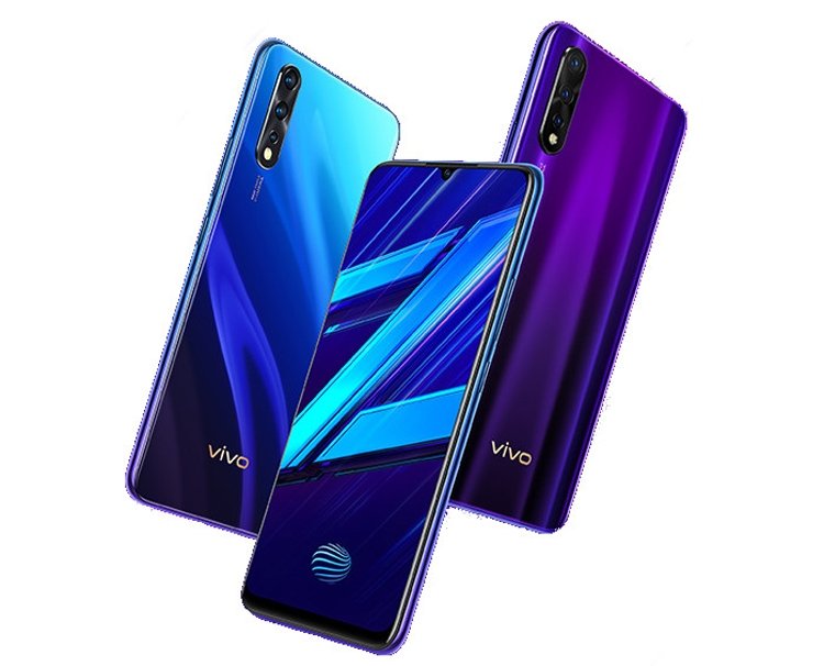 vivo2.jpg
