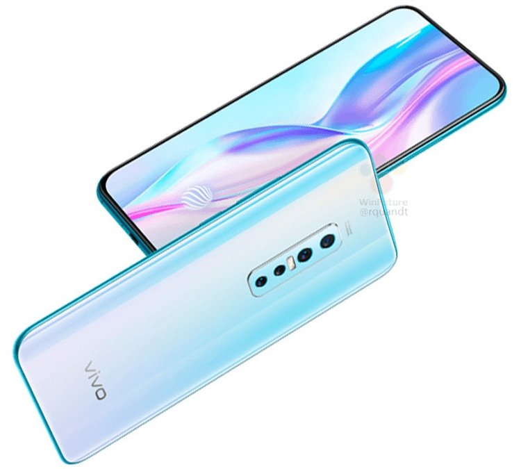 vivo2.jpg