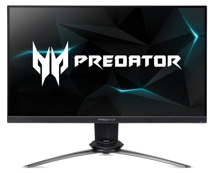 acer1.jpg