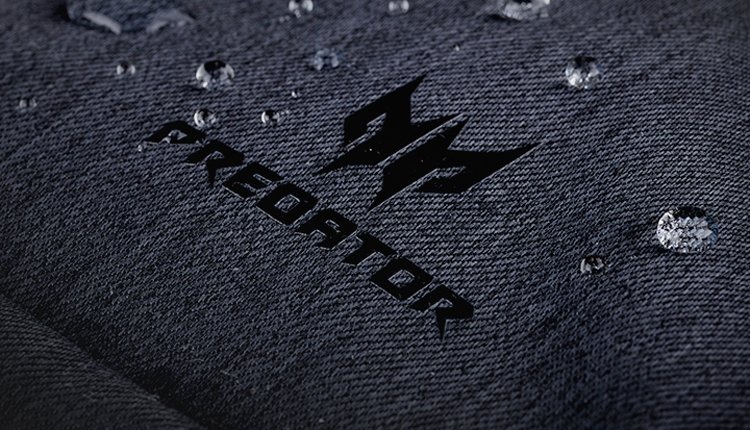 acer2.jpg