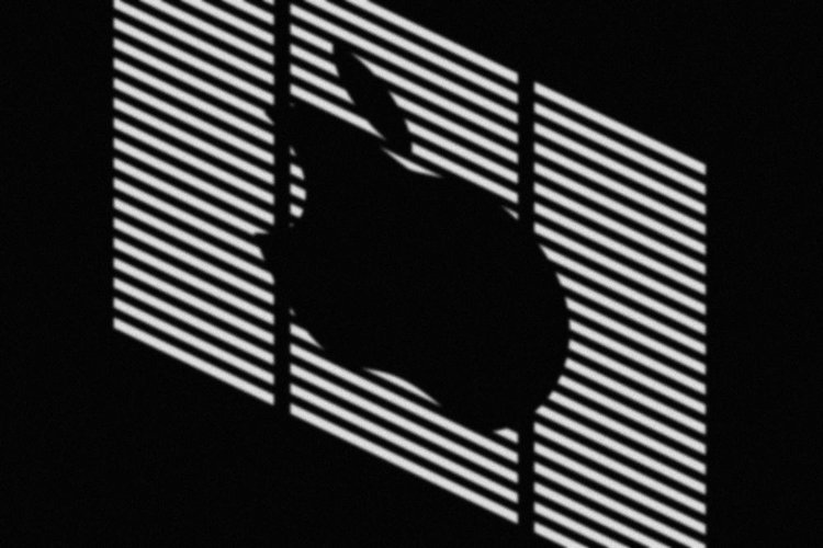 apple1.jpg