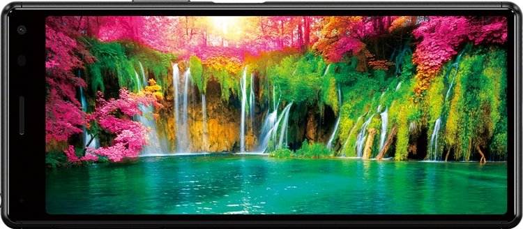 sony4.jpg