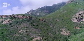 76280.jpg.678d9b66f636693cd4923c5996ee3e41.jpg