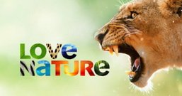 telekanal_love_nature_4k_pereveli_na_russkiy_yazyk.jpg.3e5e747817e04a56f77f577d6671f475.jpg