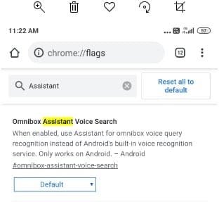 Omnibox-Assitant-Voice-Search-flag.jpg