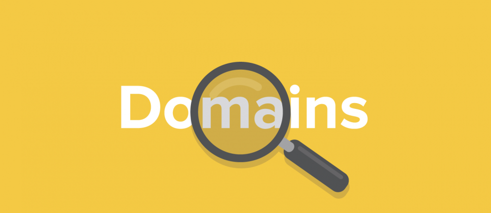 domain-news-24-01-20.png