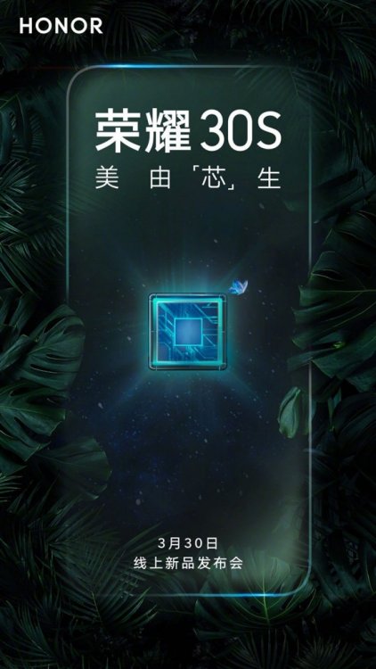 honor1.jpg