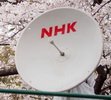 nhk_8k.jpg.317ce461877049b3f6bbafffb915926f.jpg