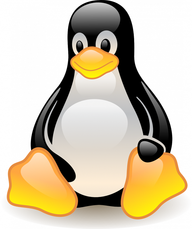 penguin-42936_1280.png