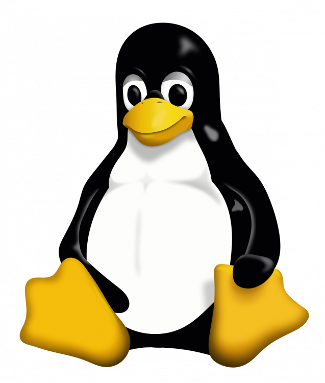 1200px-Tux.svg.png