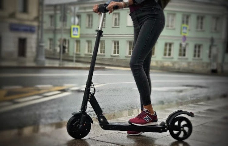 740.jpg