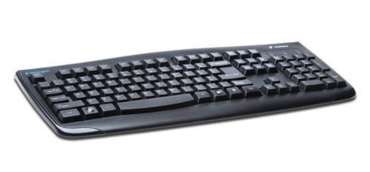 ken1.jpg