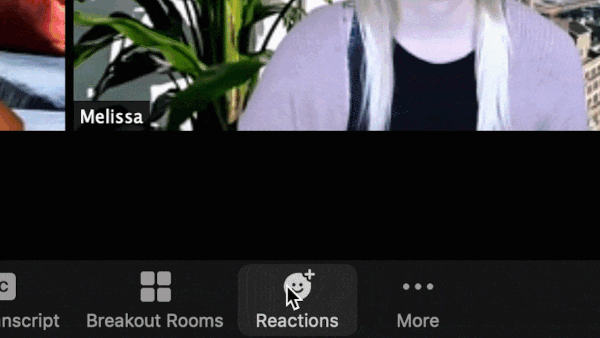 3333.gif
