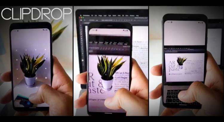 734.jpg