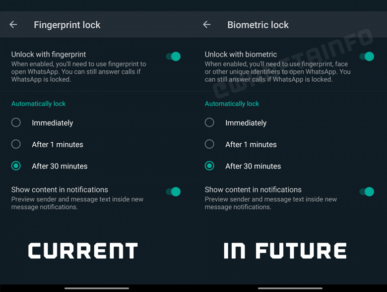 BIOMETRIC_LOCK_ANDROID-960x725-1_large.png