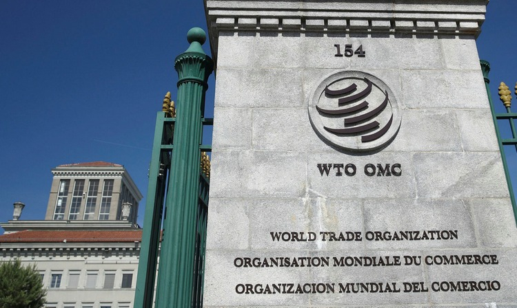 WTO_01.jpg
