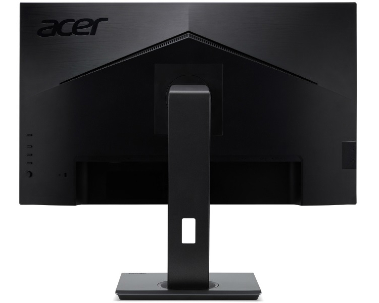 acer2.jpg