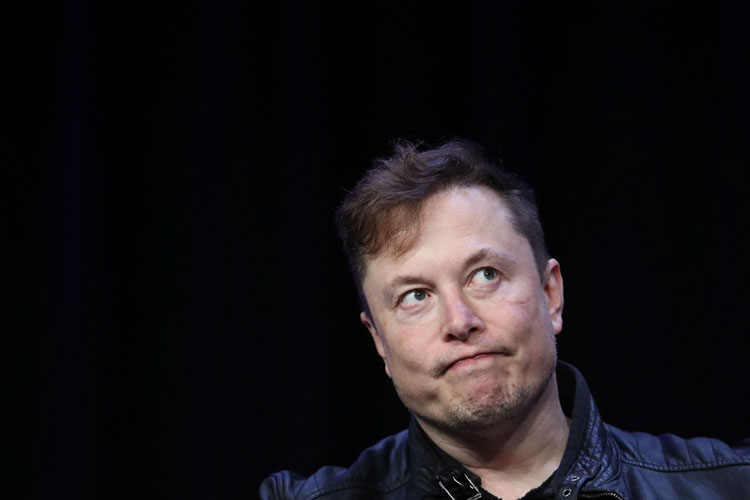 musk_tela.jpg